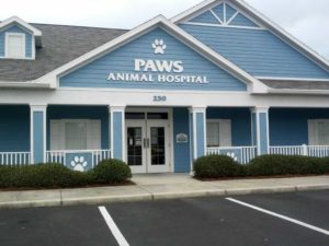 Paws Animal Hospital 1 - PVC
