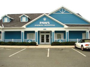 Paws Animal Hospital 2 - PVC