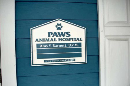 Paws Animal Hospital3 - routed PVC