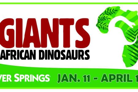 SS Giants Dino banner