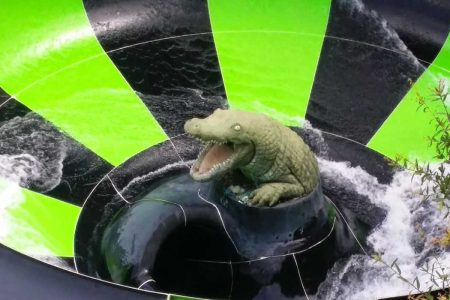 Silver Springs Alligator 3D display